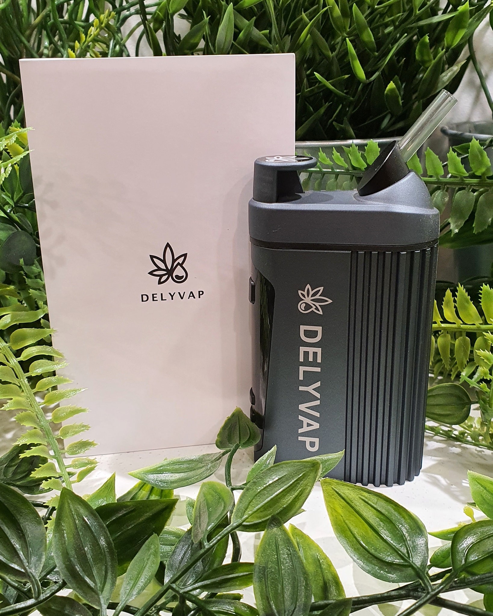VAPORISATEUR DELYVAP HAUTE PERFORMANCE